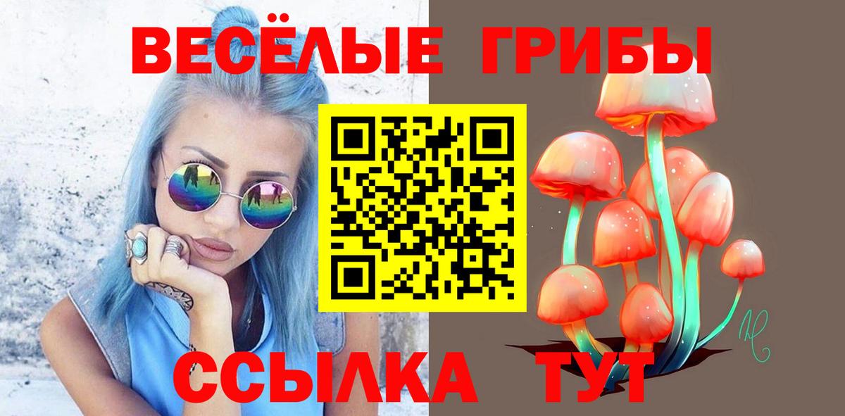 Псилоцибиновые грибы GOLDEN TEACHER Еманжелинск